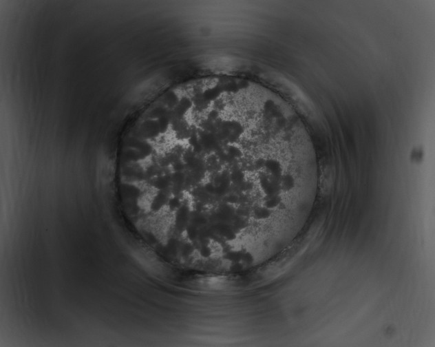 X0000102810365200809081113