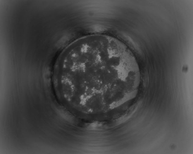 X0000102810366200809081113