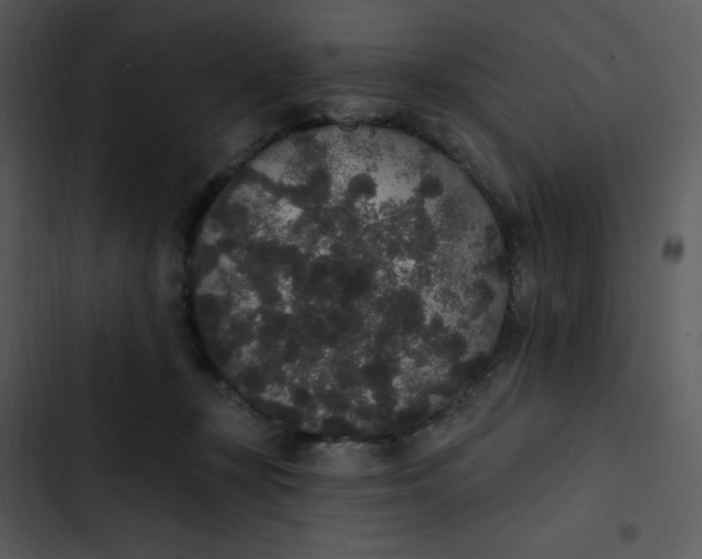 X0000102810367200809081113