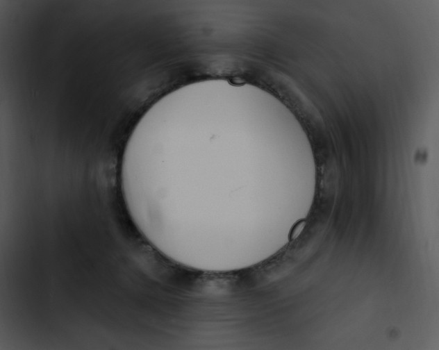 X0000102810368200809081113