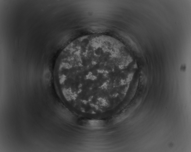 X0000102810371200809081113