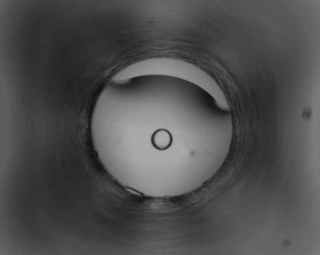 X0000102810372200809081113