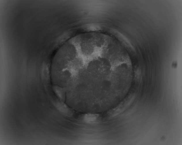 X0000102810373200809081114