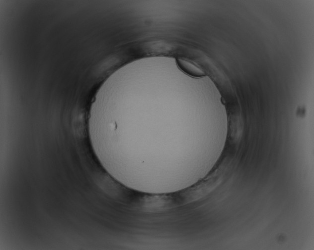 X0000102810378200809081114