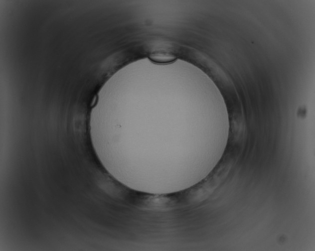 X0000102810379200809081114