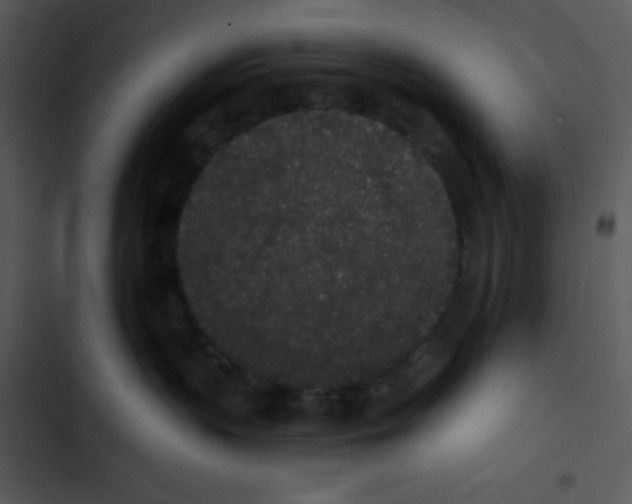 X0000102810383200809081114