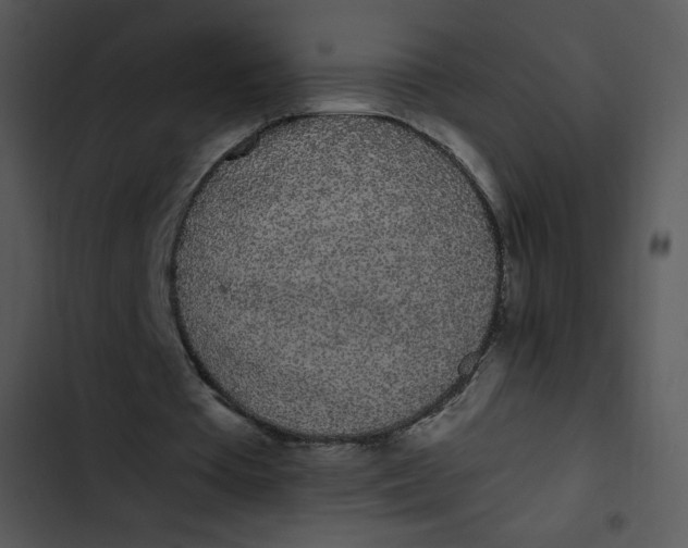 X0000102810385200809081113