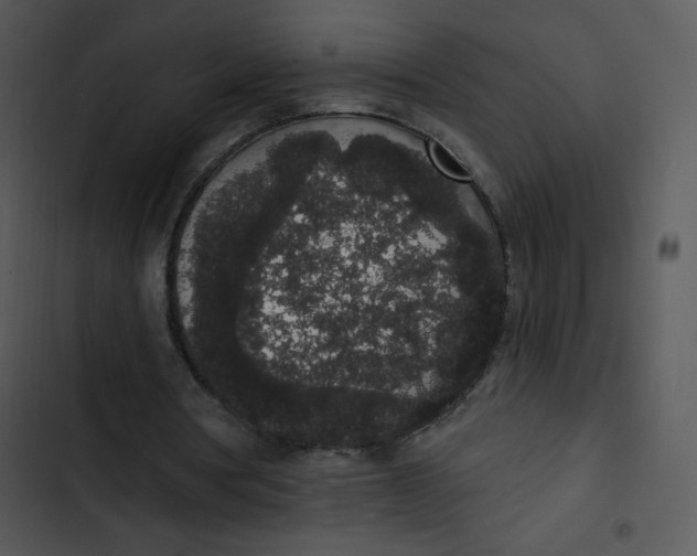 X0000102810386200809081113