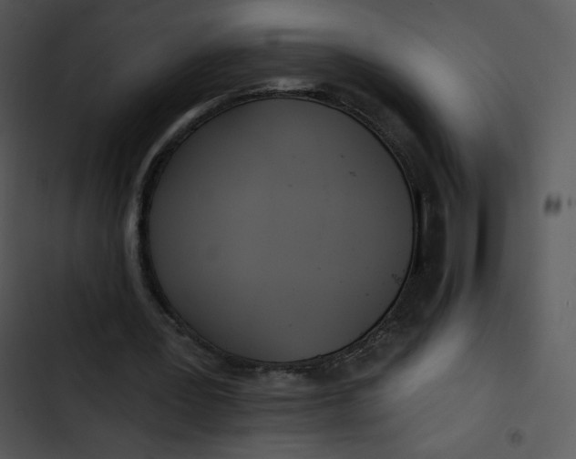 X0000102810387200809081113