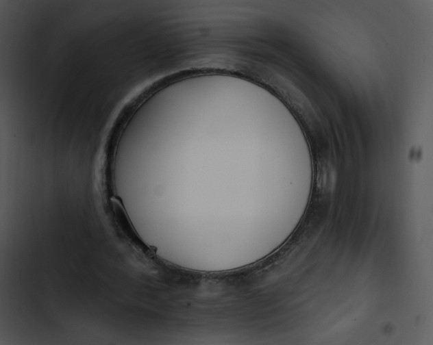 X0000102810388200809081113