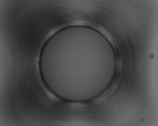 X0000102810389200809081113