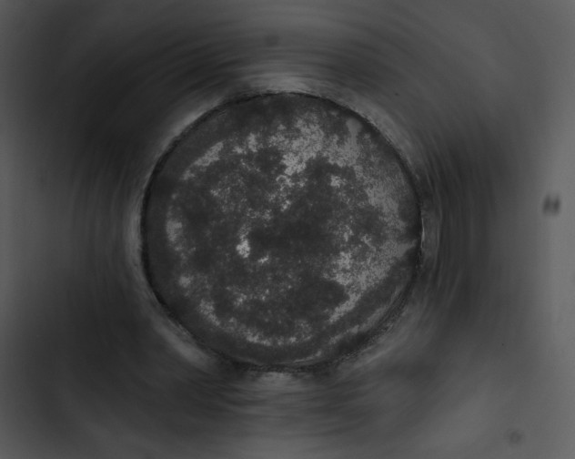 X0000102810390200809081113