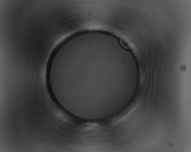 X0000102810391200809081113