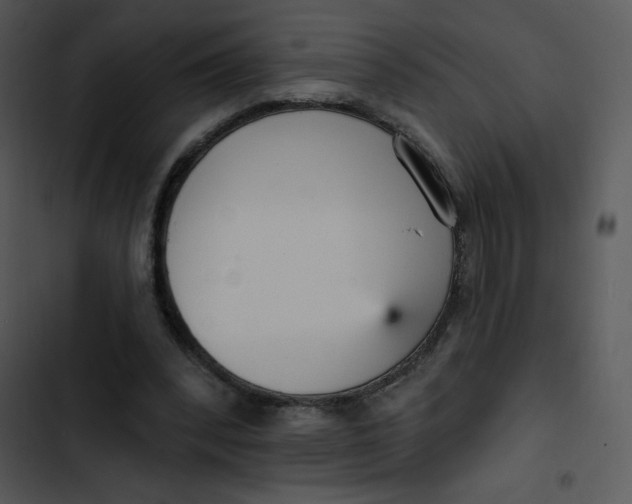 X0000102810392200809081113