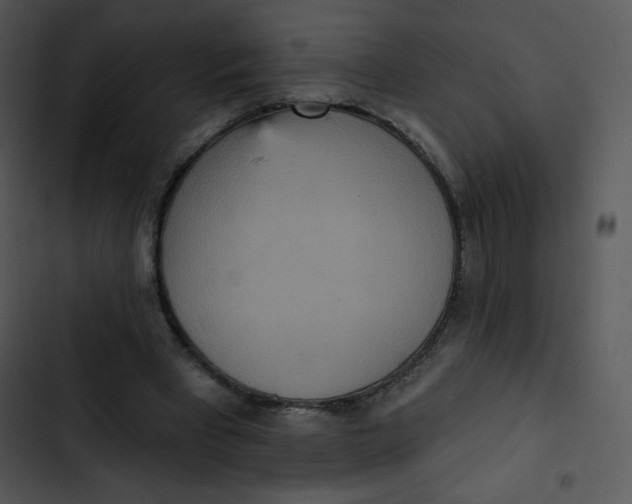 X0000102810393200809081113