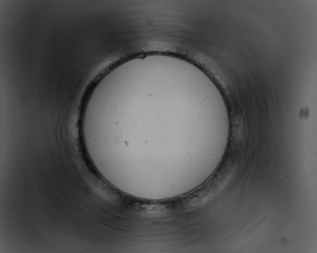 X0000102810395200809081113