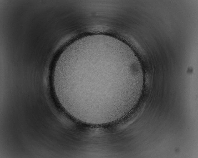 X0000102810396200809081113