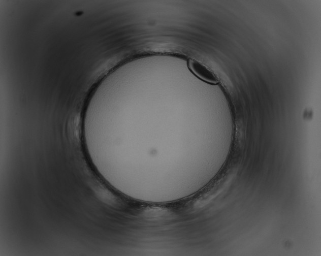 X0000102810397200809081113