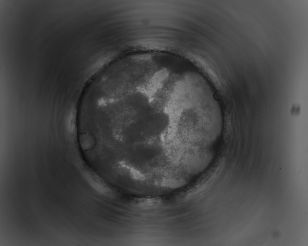 X0000102810398200809081113