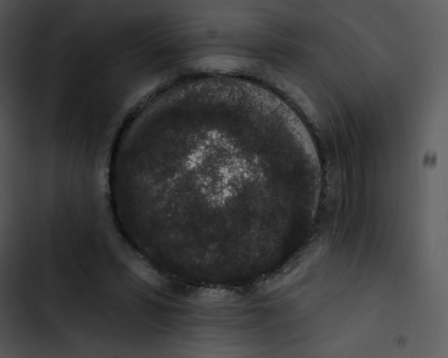 X0000102810399200809081113