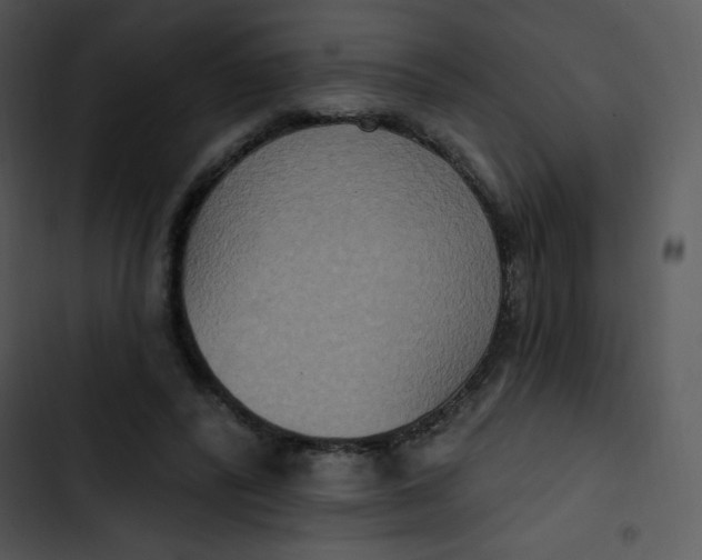 X0000102810400200809081113