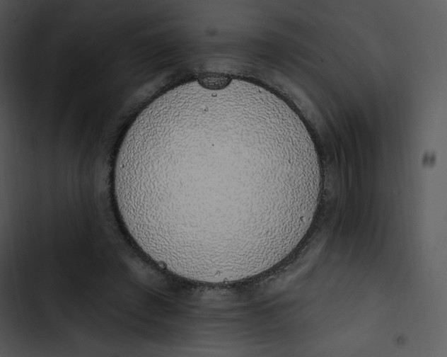 X0000102810401200809081113