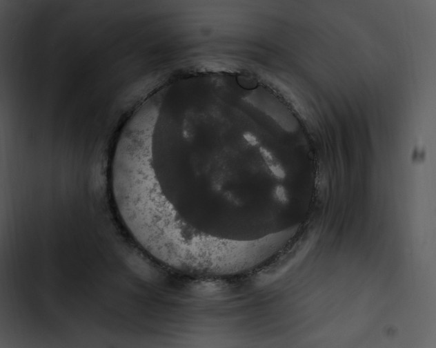 X0000102810402200809081113