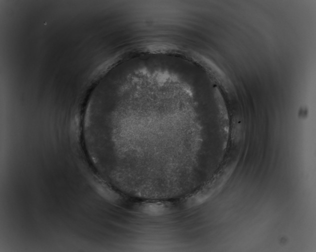 X0000102810405200809081113