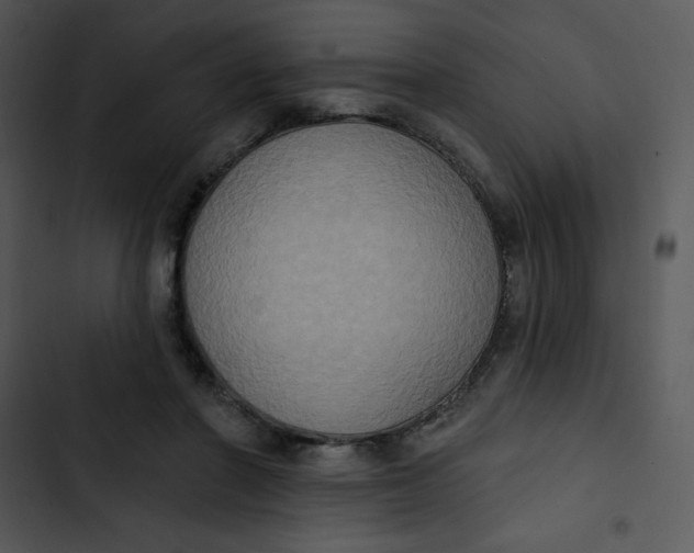 X0000102810406200809081113