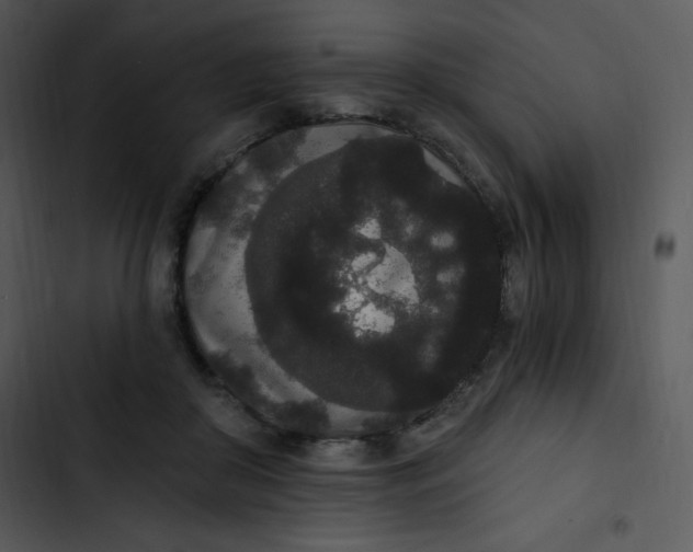 X0000102810410200809081113