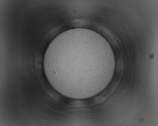 X0000102810413200809081113