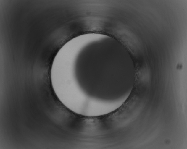 X0000102810415200809081113