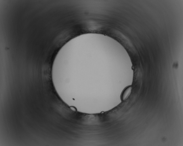 X0000102810421200809081113