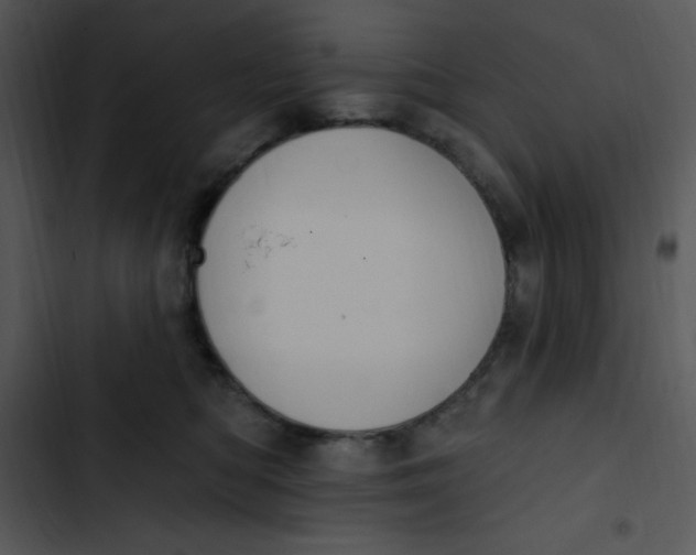 X0000102810422200809081112