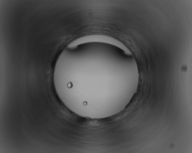 X0000102810423200809081112