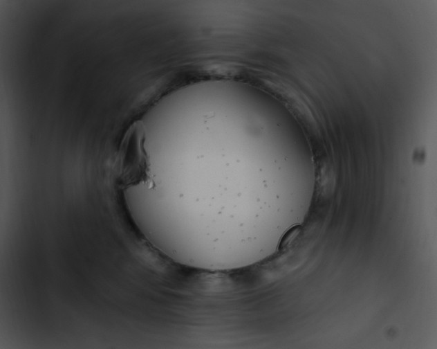 X0000102810424200809081112