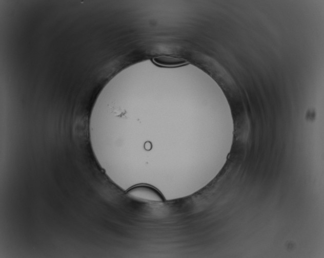 X0000102810425200809081112