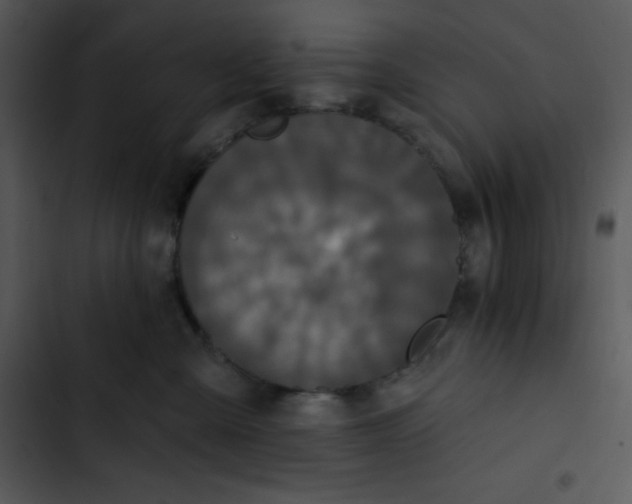 X0000102810427200809081112