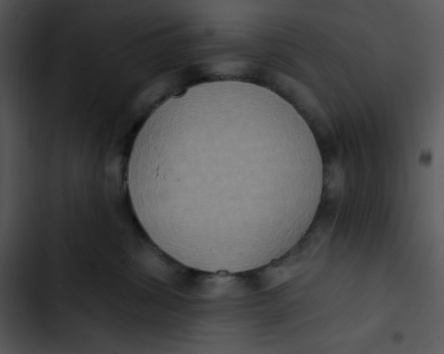 X0000102810428200809081112