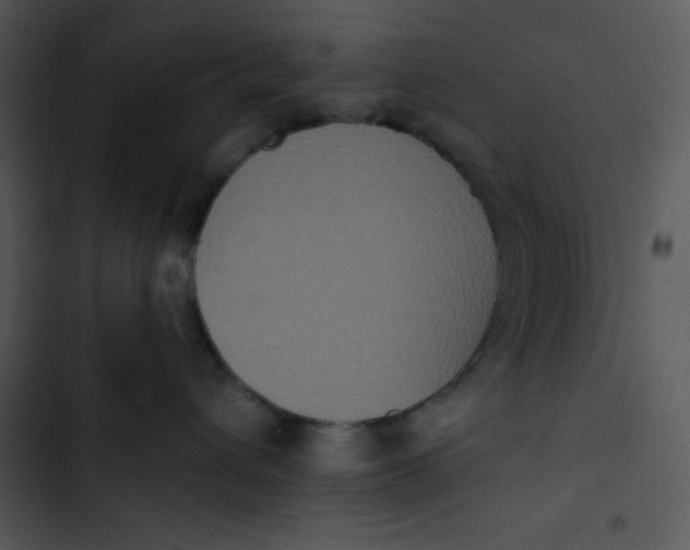 X0000102810432200809081112