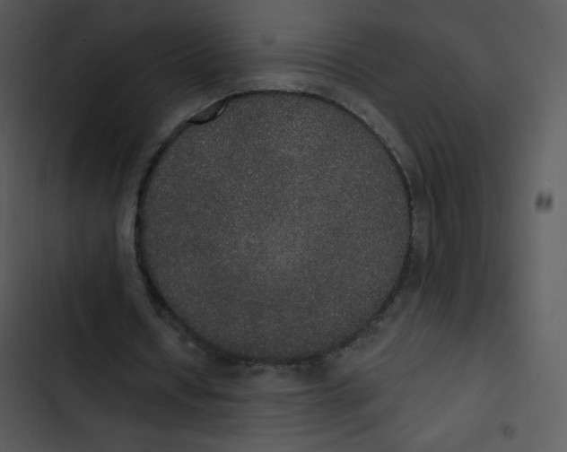 X0000102810434200809081112