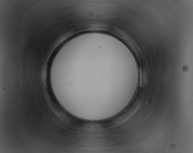 X0000102810435200809081112