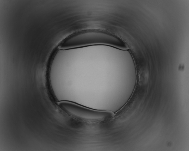 X0000102810436200809081112