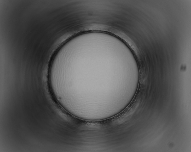 X0000102810437200809081112