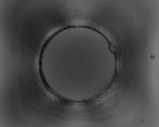 X0000102810438200809081112