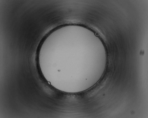 X0000102810439200809081112