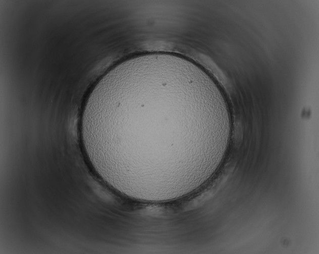 X0000102810441200809081112