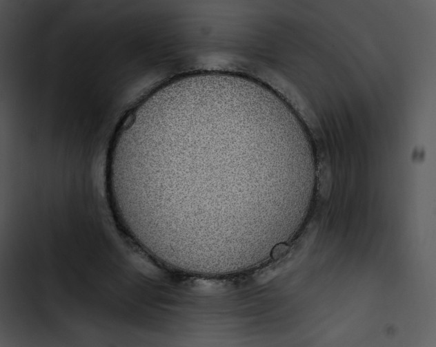 X0000102810442200809081112