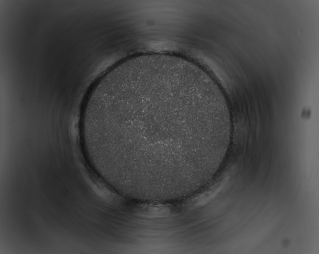 X0000102810443200809081112