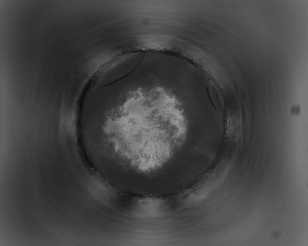 X0000102810444200809081112